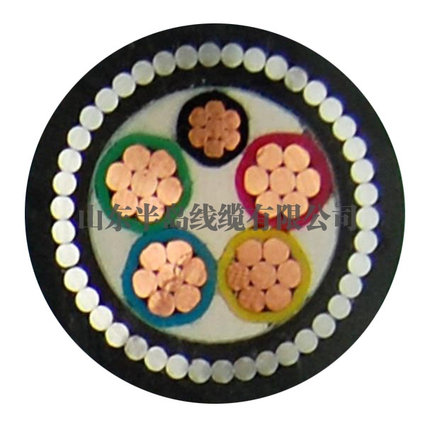  Liupanshui plastic insulated power cable