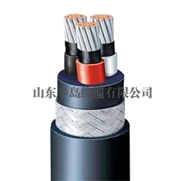  Wujiaqu marine cable