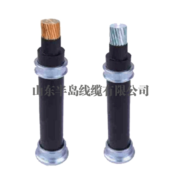  Meishan overhead insulated cable