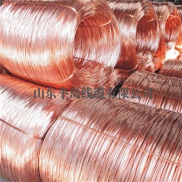  Hengyang copper pole