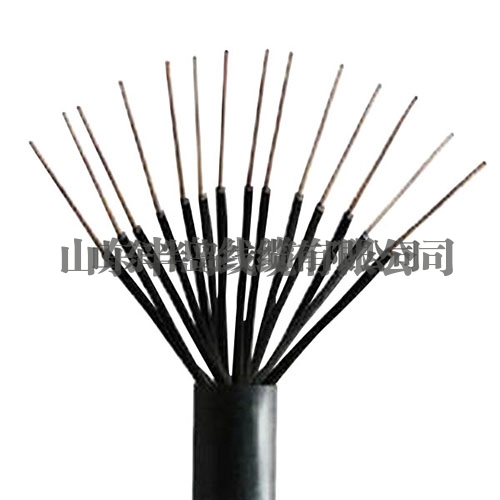  Plastic insulated control cable