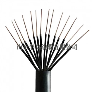  Plastic insulated control cable