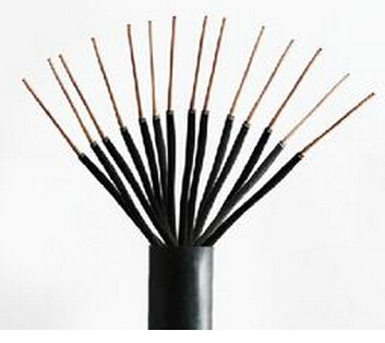  Specification of plastic insulated control cable